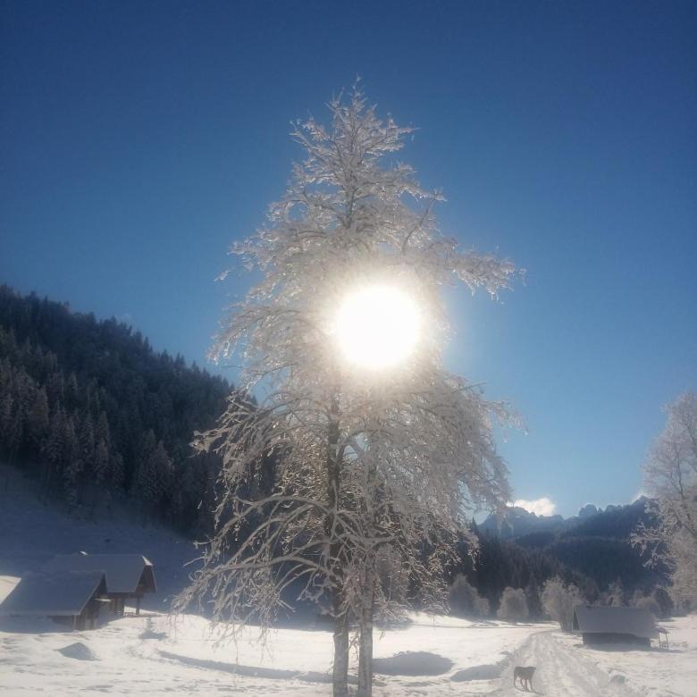 Huatscher Camporosso  Dış mekan fotoğraf